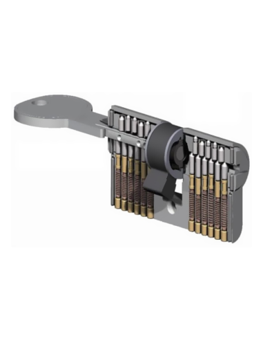 CILINDRO ISEO R6 SEG 30+70 NIQ L/L LL/IG 8809