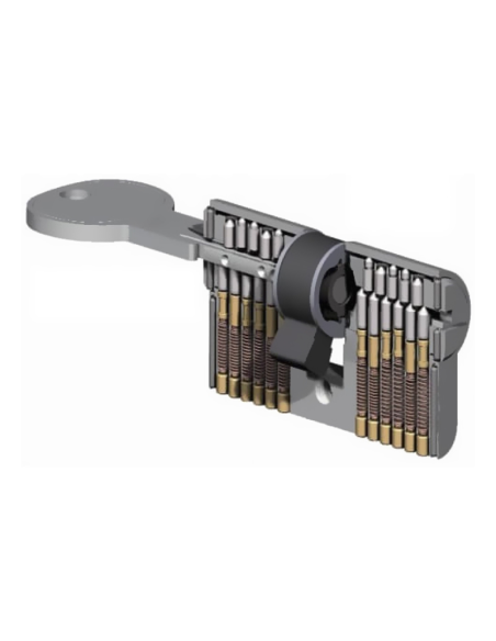 CILINDRO ISEO R6 SEG 40+60 NIQ L/L LL/IG 8809